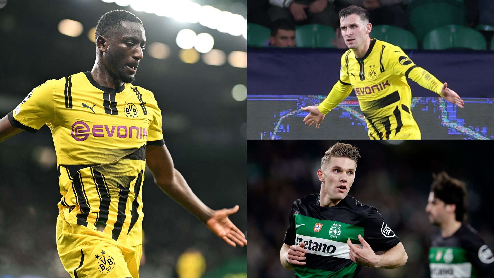 的争夺中 的争夺中