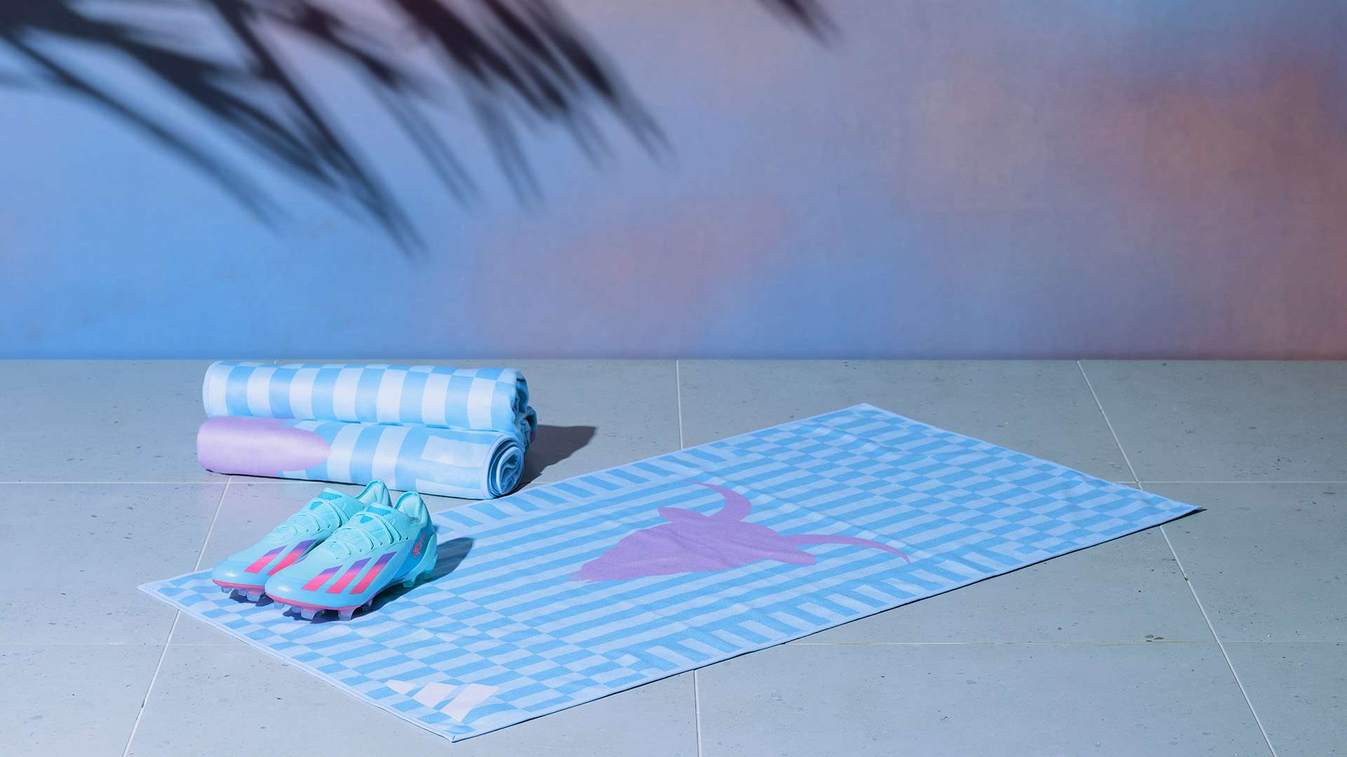 是加拿大的 是加拿大的